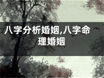 八字分析婚姻,八字命理婚姻