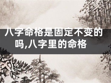 八字命格是固定不变的吗,八字里的命格