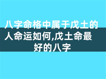 八字命格中属于戊土的人命运如何,戊土命最好的八字