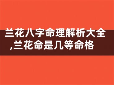 兰花八字命理解析大全,兰花命是几等命格
