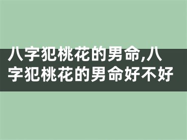 八字犯桃花的男命,八字犯桃花的男命好不好