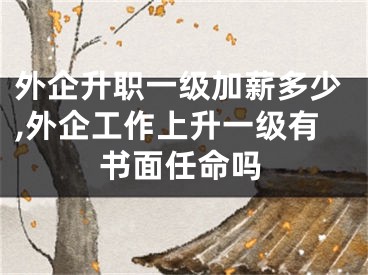 外企升职一级加薪多少,外企工作上升一级有书面任命吗