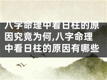 八字命理中看日柱的原因究竟为何,八字命理中看日柱的原因有哪些