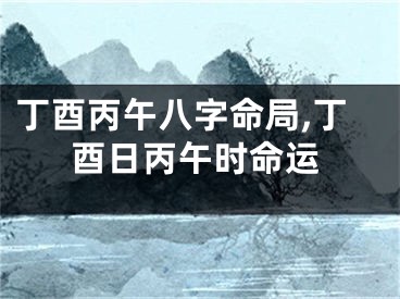 丁酉丙午八字命局,丁酉日丙午时命运