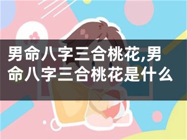 男命八字三合桃花,男命八字三合桃花是什么