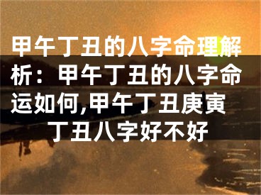 甲午丁丑的八字命理解析：甲午丁丑的八字命运如何,甲午丁丑庚寅丁丑八字好不好