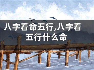 八字看命五行,八字看五行什么命