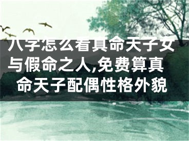 八字怎么看真命天子女与假命之人,免费算真命天子配偶性格外貌
