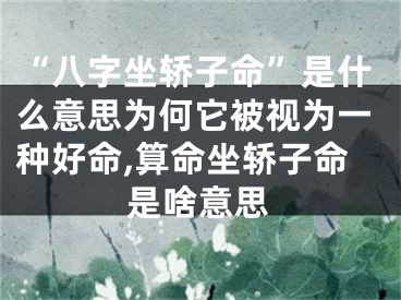 “八字坐轿子命”是什么意思为何它被视为一种好命,算命坐轿子命是啥意思