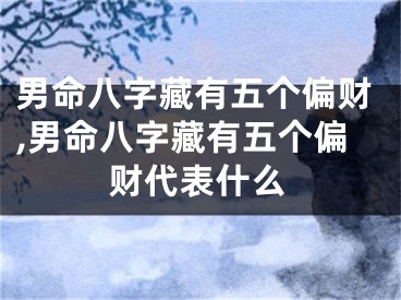 男命八字藏有五个偏财,男命八字藏有五个偏财代表什么