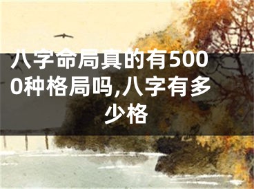 八字命局真的有5000种格局吗,八字有多少格