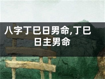 八字丁巳日男命,丁巳日主男命