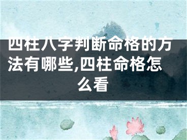 四柱八字判断命格的方法有哪些,四柱命格怎么看