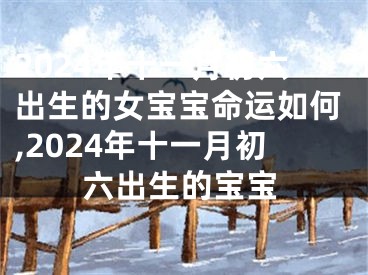 2024年十一月初六出生的女宝宝命运如何,2024年十一月初六出生的宝宝