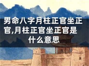 男命八字月柱正官坐正官,月柱正官坐正官是什么意思