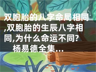 双胞胎的八字命局相同,双胞胎的生辰八字相同,为什么命运不同?杨易德全集...