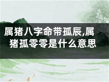 属猪八字命带孤辰,属猪孤零零是什么意思