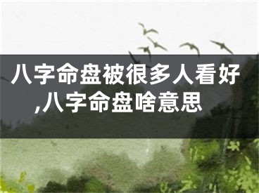 八字命盘被很多人看好,八字命盘啥意思