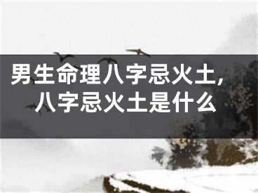 男生命理八字忌火土,八字忌火土是什么