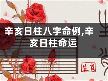 辛亥日柱八字命例,辛亥日柱命运
