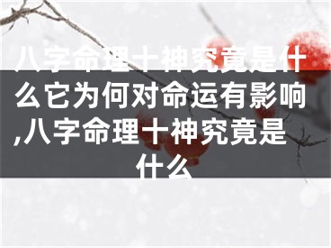 八字命理十神究竟是什么它为何对命运有影响,八字命理十神究竟是什么