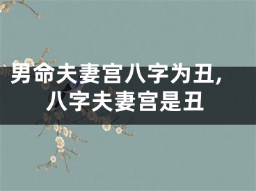 男命夫妻宫八字为丑,八字夫妻宫是丑