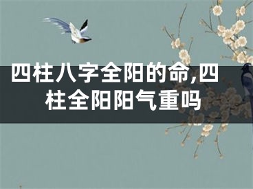 四柱八字全阳的命,四柱全阳阳气重吗