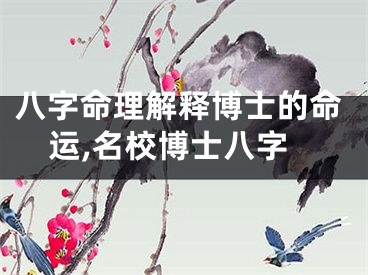八字命理解释博士的命运,名校博士八字