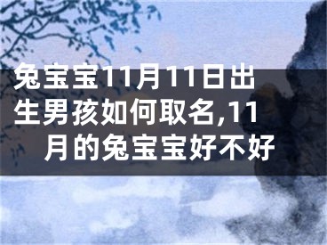 兔宝宝11月11日出生男孩如何取名,11月的兔宝宝好不好