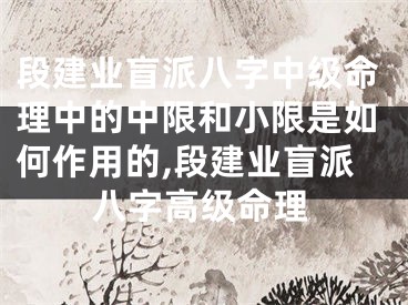 段建业盲派八字中级命理中的中限和小限是如何作用的,段建业盲派八字高级命理