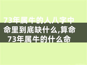 73年属牛的人八字中命里到底缺什么,算命73年属牛的什么命
