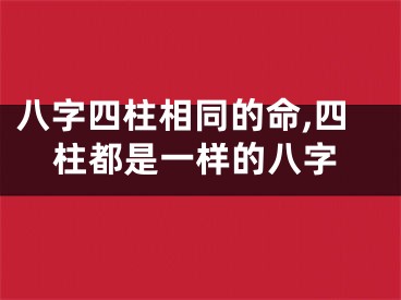 八字四柱相同的命,四柱都是一样的八字