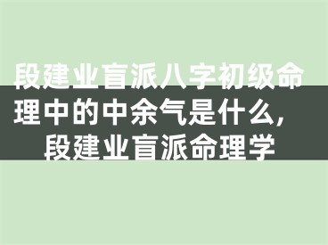 段建业盲派八字初级命理中的中余气是什么,段建业盲派命理学