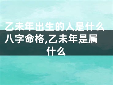 乙未年出生的人是什么八字命格,乙未年是属什么