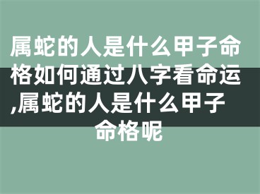 属蛇的人是什么甲子命格如何通过八字看命运,属蛇的人是什么甲子命格呢