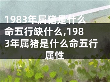 1983年属猪是什么命五行缺什么,1983年属猪是什么命五行属性
