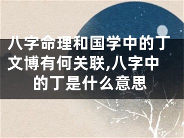 八字命理和国学中的丁文博有何关联,八字中的丁是什么意思