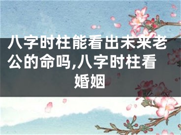 八字时柱能看出未来老公的命吗,八字时柱看婚姻