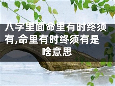 八字里面命里有时终须有,命里有时终须有是啥意思