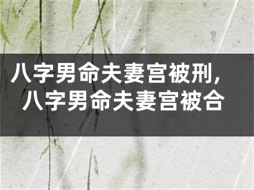 八字男命夫妻宫被刑,八字男命夫妻宫被合