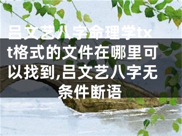 吕文艺八字命理学txt格式的文件在哪里可以找到,吕文艺八字无条件断语