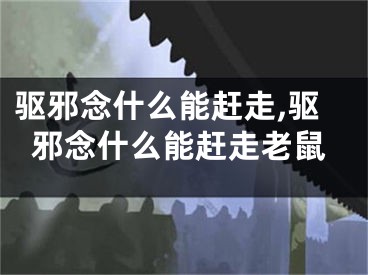 驱邪念什么能赶走,驱邪念什么能赶走老鼠