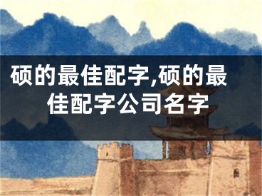 硕的最佳配字,硕的最佳配字公司名字
