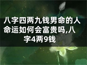 八字四两九钱男命的人命运如何会富贵吗,八字4两9钱