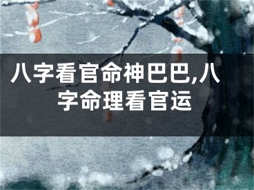 八字看官命神巴巴,八字命理看官运