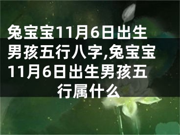 兔宝宝11月6日出生男孩五行八字,兔宝宝11月6日出生男孩五行属什么