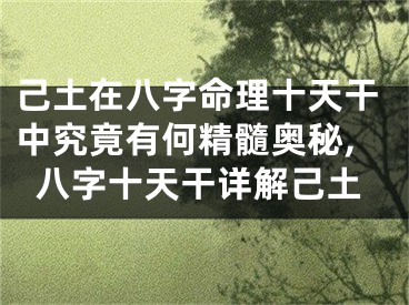 己土在八字命理十天干中究竟有何精髓奥秘,八字十天干详解己土