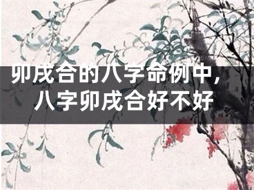 卯戌合的八字命例中,八字卯戌合好不好