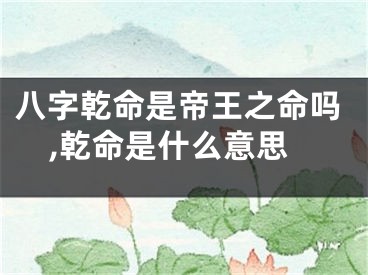八字乾命是帝王之命吗,乾命是什么意思