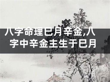 八字命理巳月辛金,八字中辛金主生于巳月